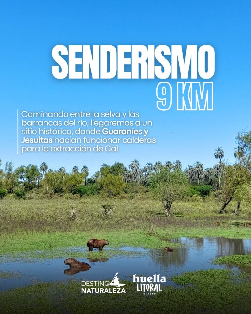 WhatsApp Image 2025-11-07 at 08.14.48 (1)