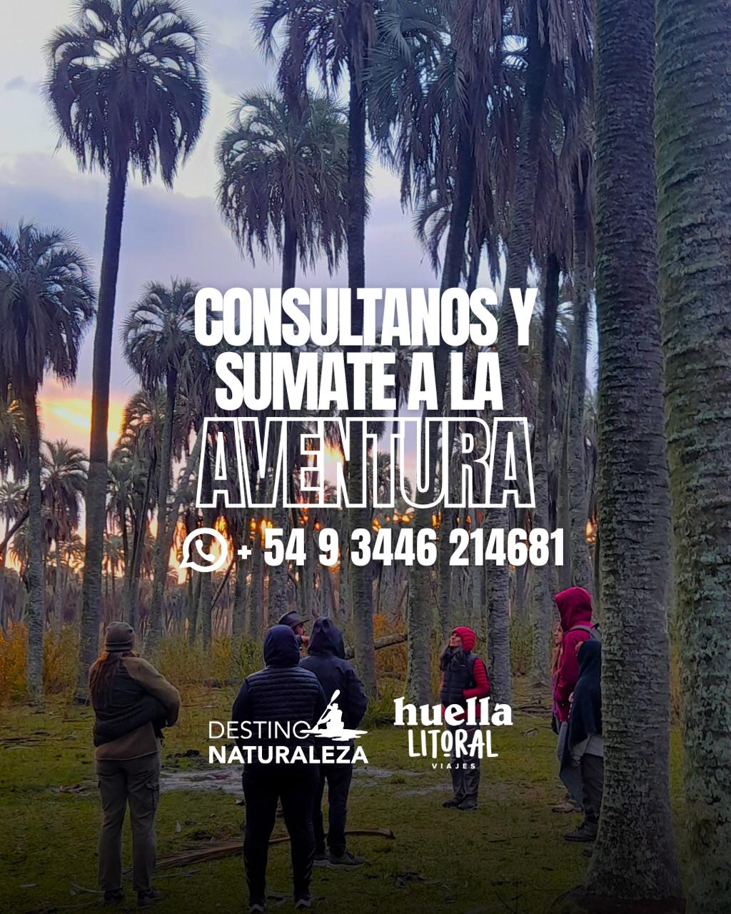 WhatsApp Image 2025-11-07 at 08.14.48 (3)