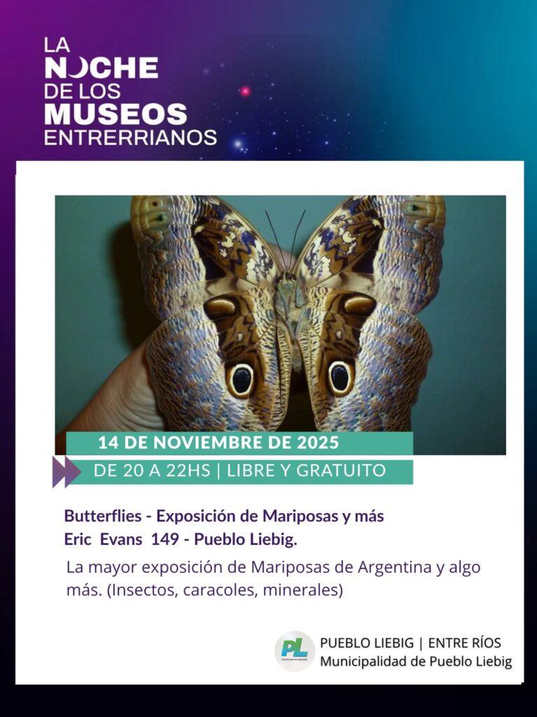 WhatsApp Image 2025-11-12 at 12.49.06