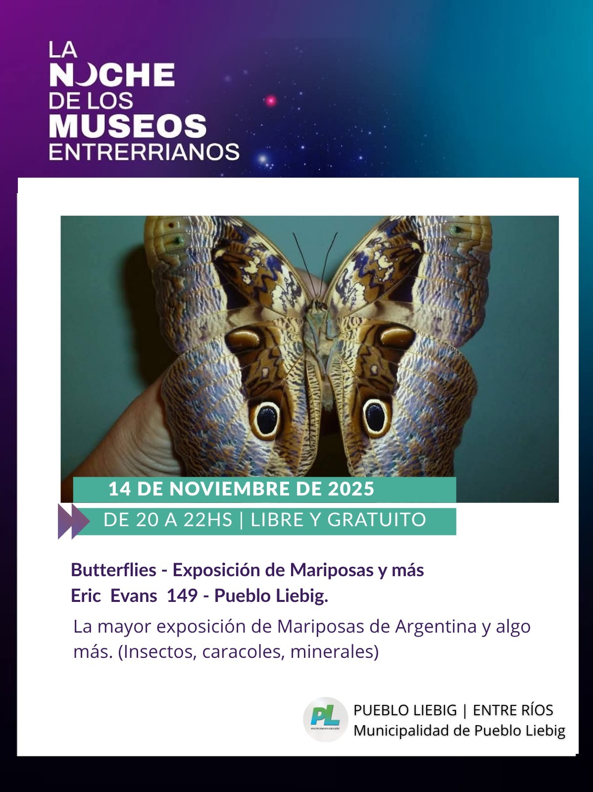 WhatsApp Image 2025-11-12 at 12.49.06