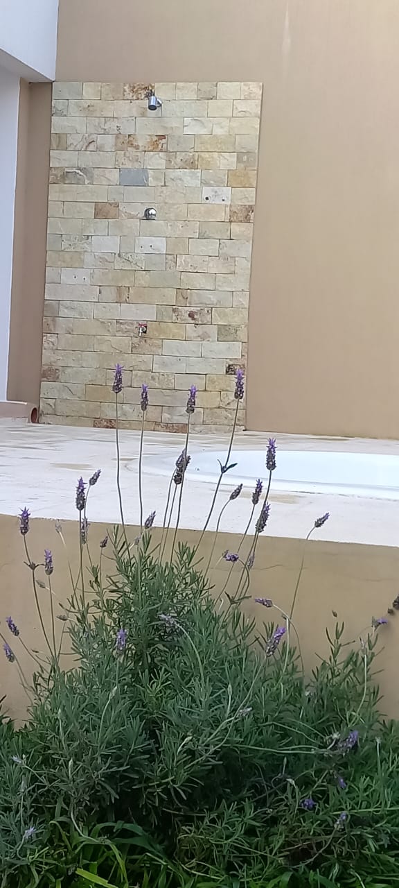 WhatsApp-Image-2025-11-23-at-1.12.18-PM-3