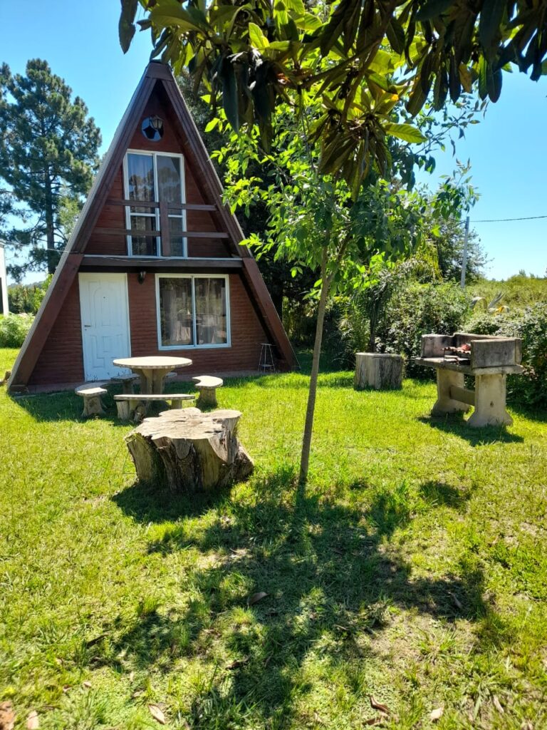 WhatsApp Image 2026-01-08 at 17.49.51