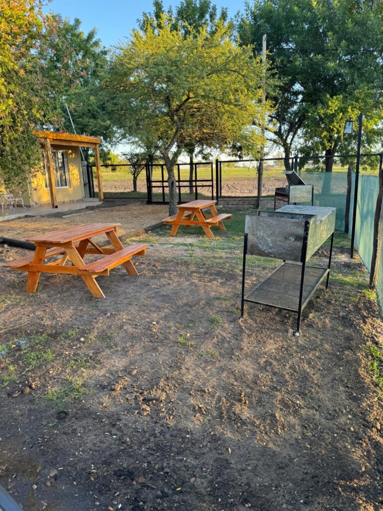 WhatsApp Image 2026-03-05 at 17.37.55