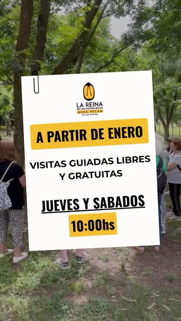 WhatsApp-Image-2026-01-03-at-11.14.09