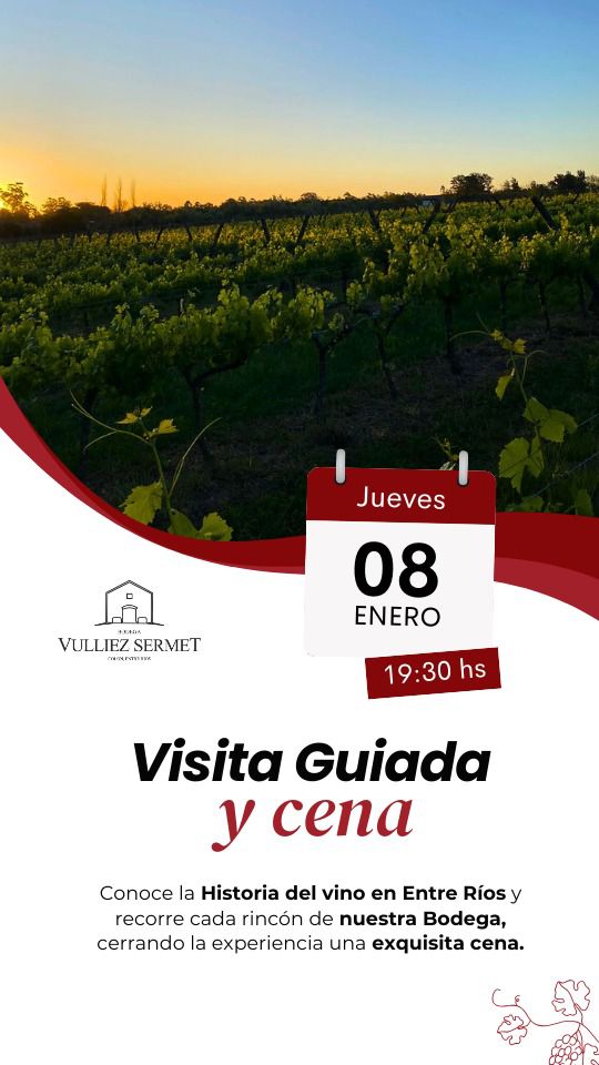 WhatsApp Image 2026-01-05 at 17.12.52