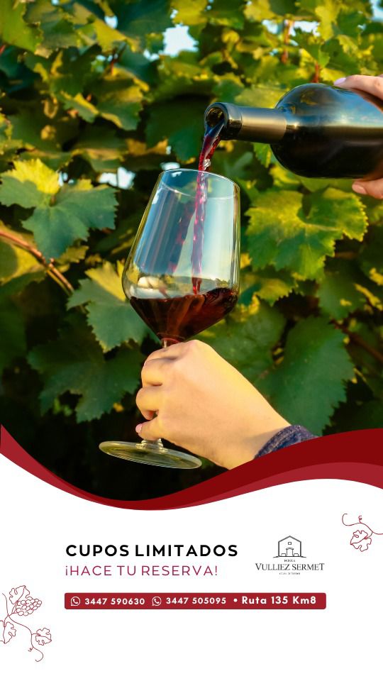 WhatsApp Image 2026-01-05 at 17.12.53