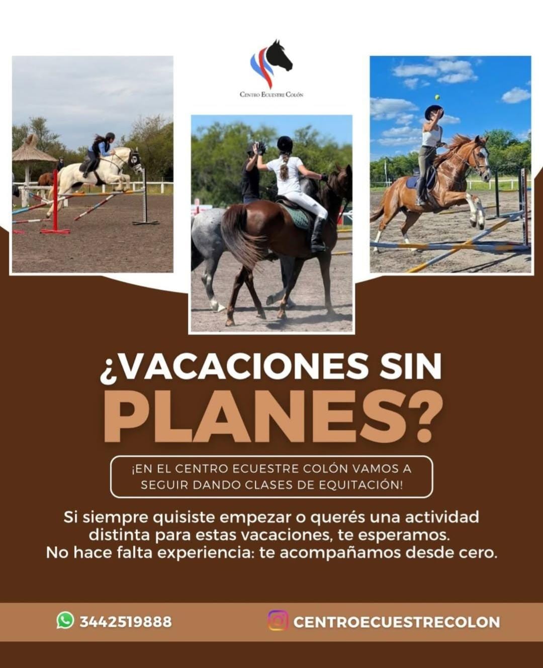 WhatsApp Image 2026-01-08 at 11.43.32