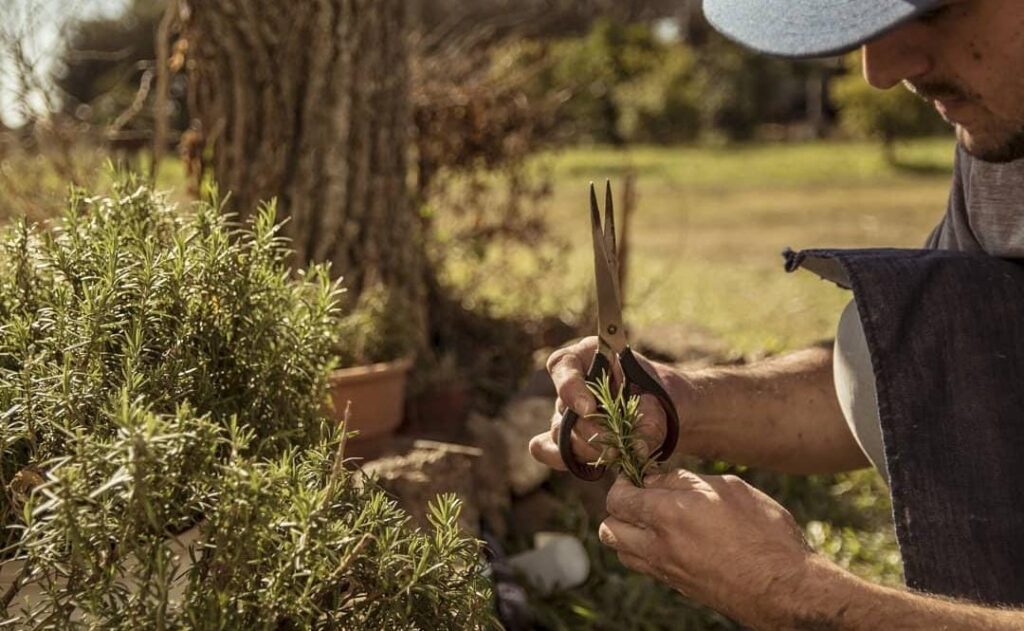 WhatsApp Image 2026-01-19 at 10.01.46 (1)