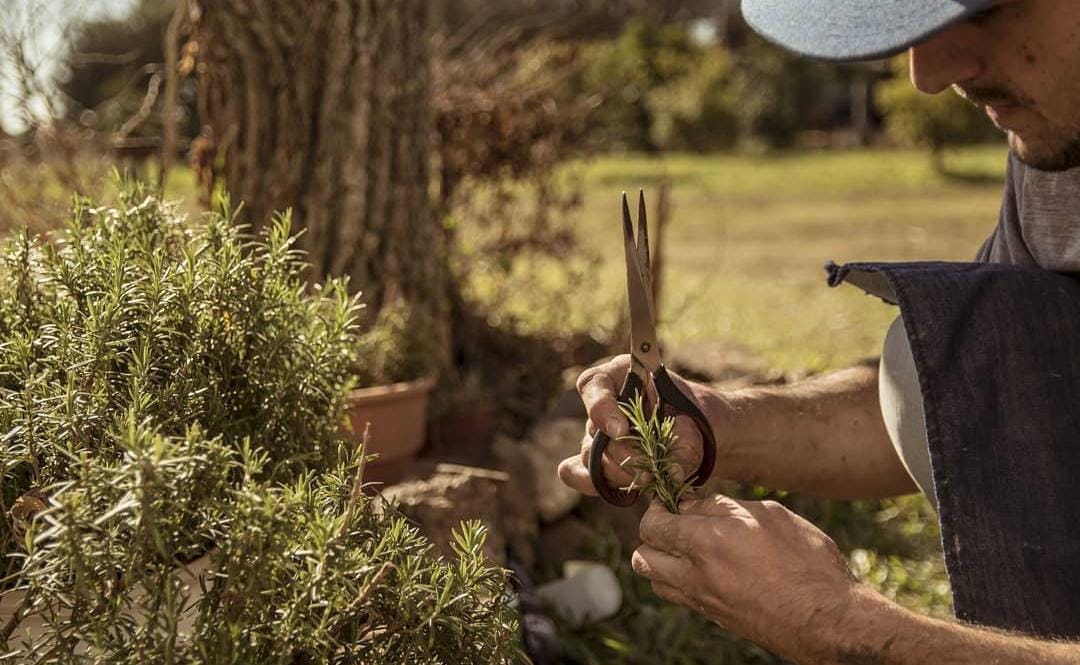 WhatsApp Image 2026-01-19 at 10.01.46 (1)