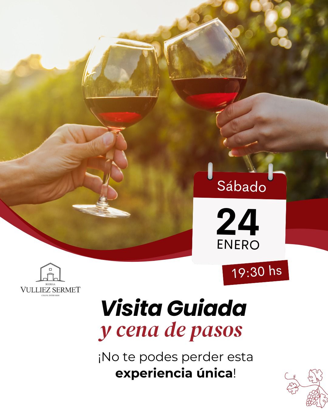 WhatsApp Image 2026-01-23 at 11.17.33