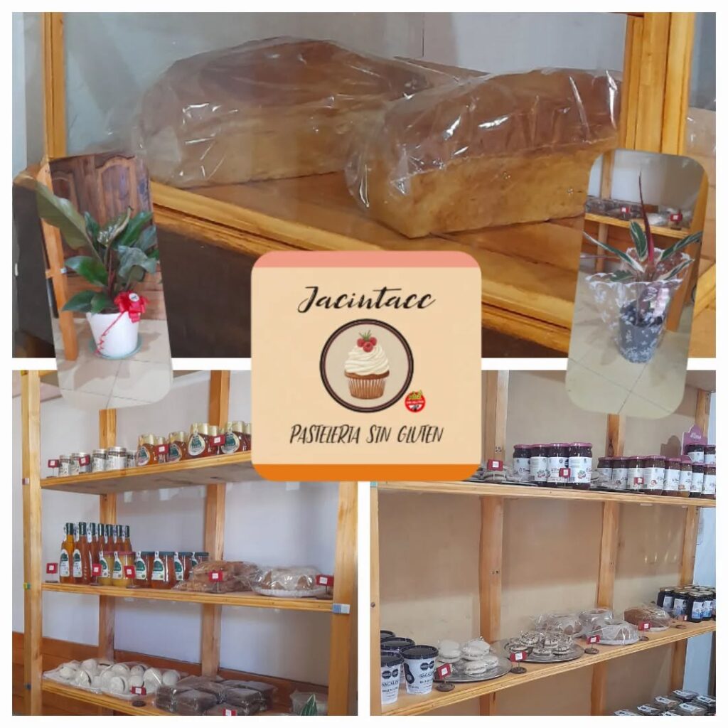 WhatsApp Image 2026-01-26 at 11.17.10