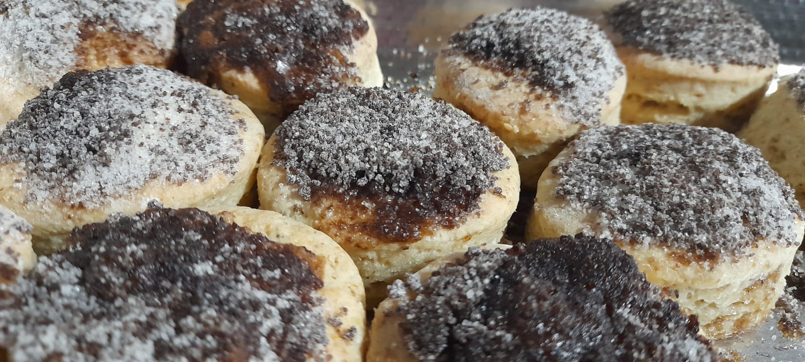 WhatsApp Image 2026-01-26 at 17.23.39 (2)