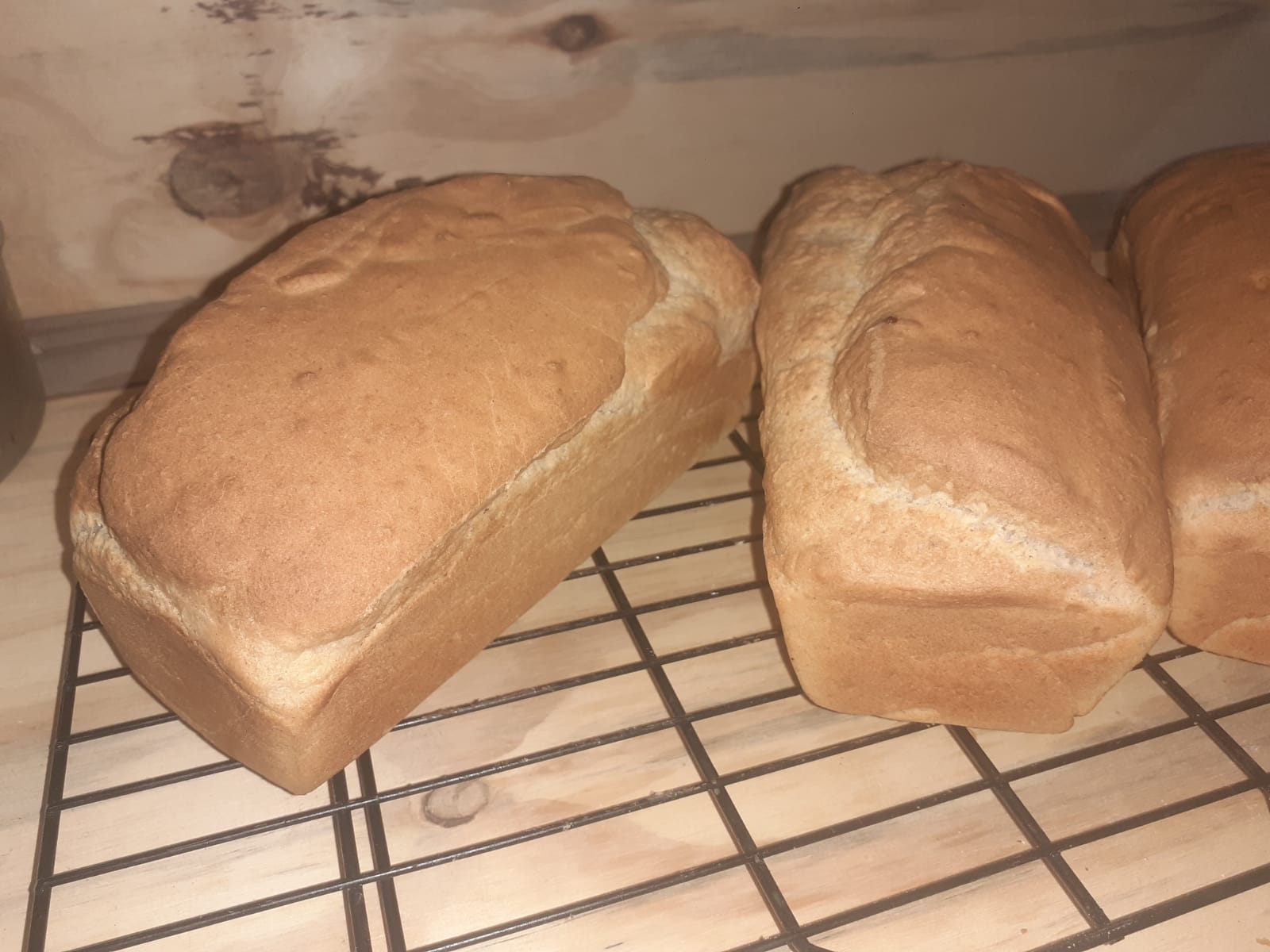 WhatsApp Image 2026-01-26 at 17.27.47