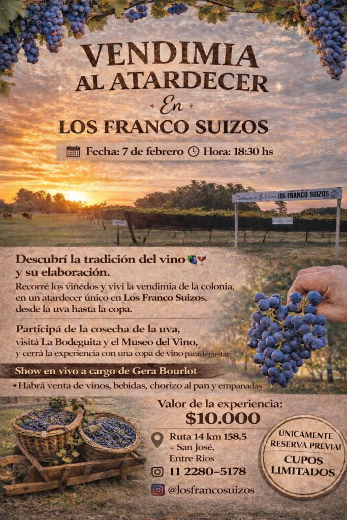 WhatsApp Image 2026-01-27 at 08.40.43