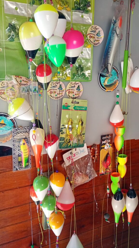 WhatsApp Image 2026-01-30 at 10.46.01