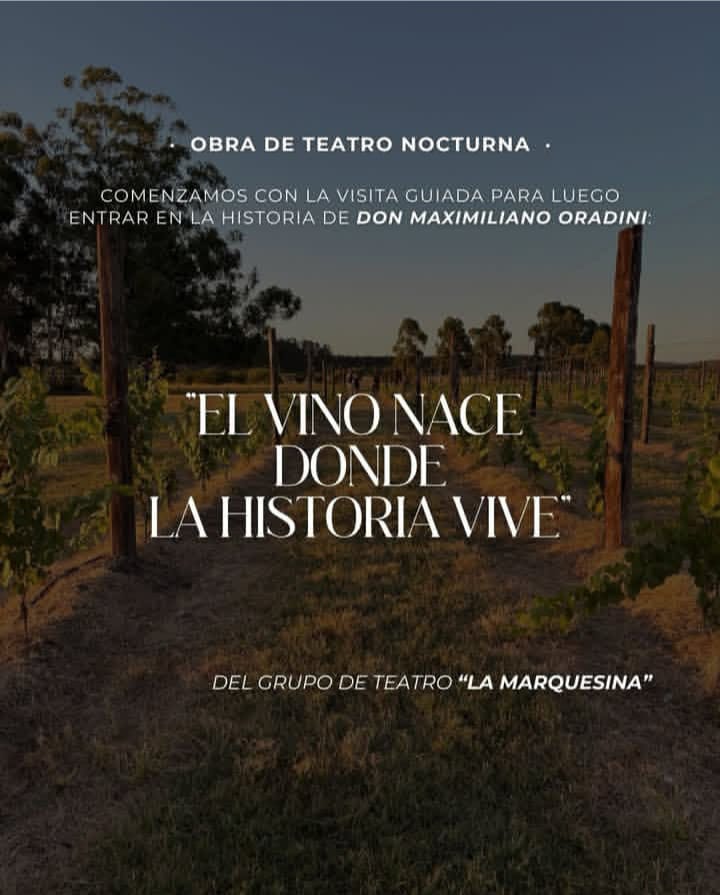 WhatsApp Image 2026-02-06 at 11.37.21