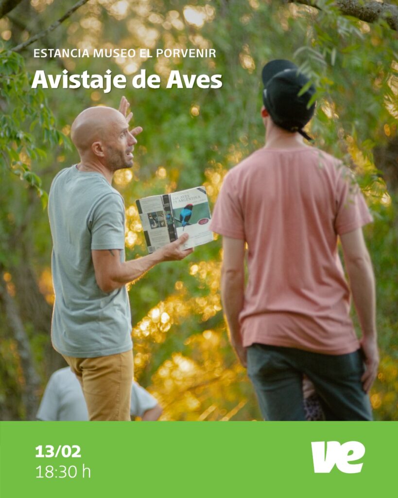 8.2-Avistaje-de-aves-1