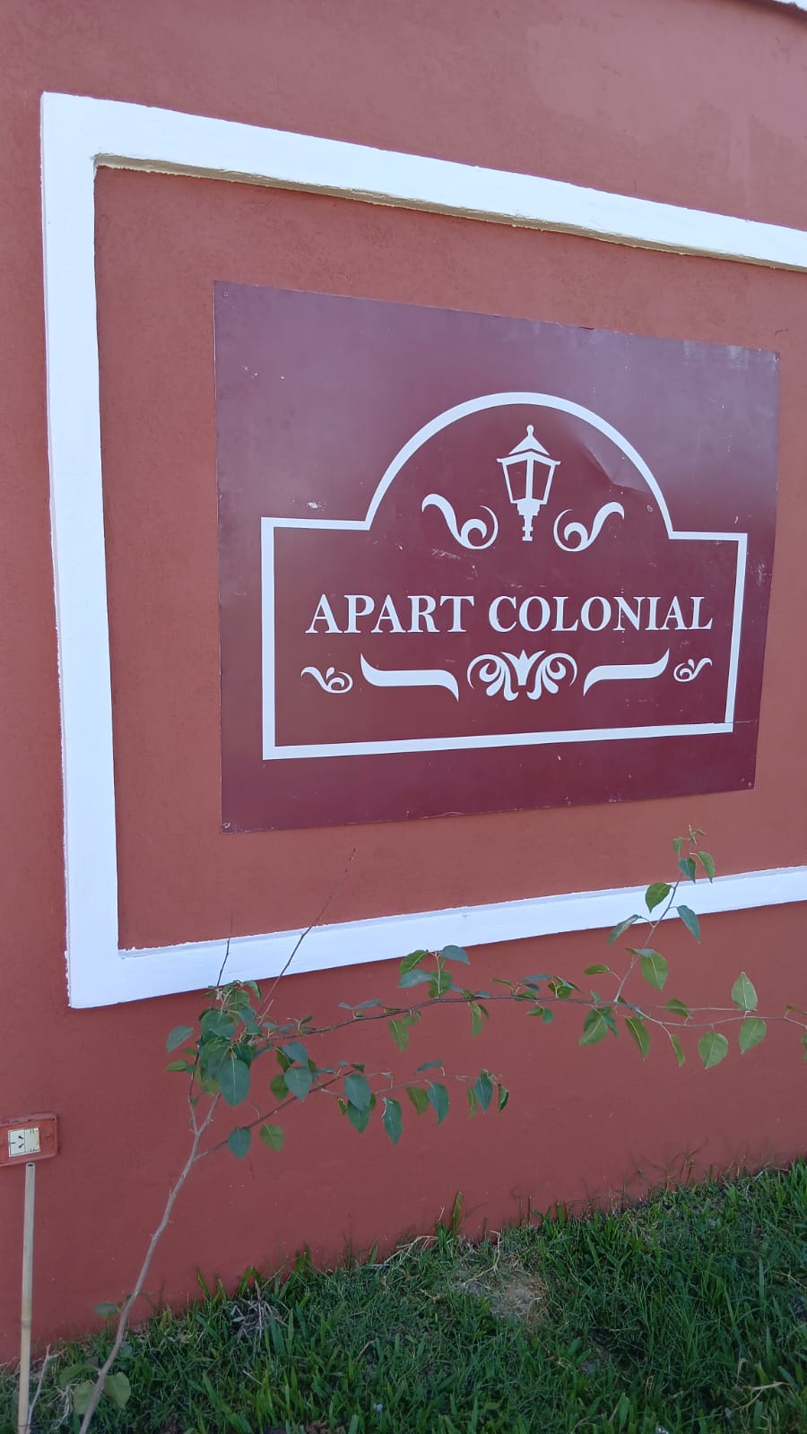 WhatsApp-Image-2026-02-01-at-21.25.38-1