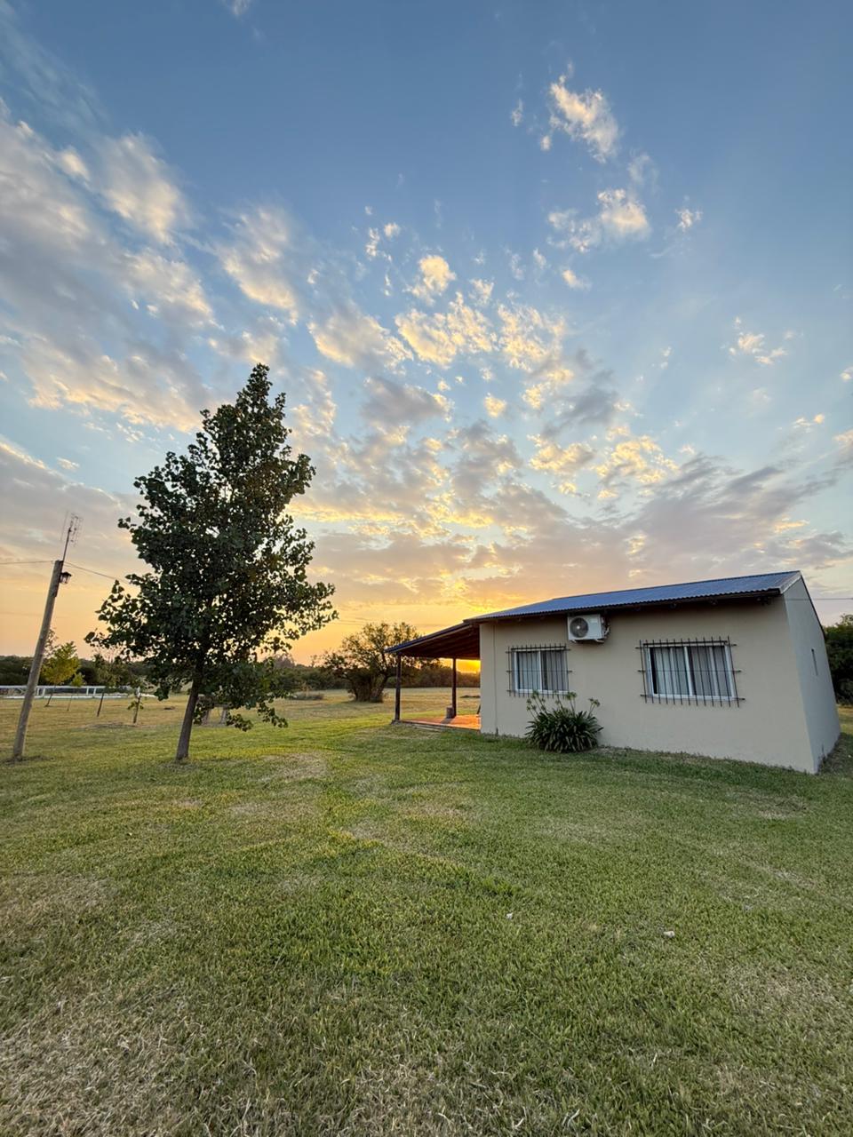 WhatsApp-Image-2026-02-08-at-5.31.55-PM