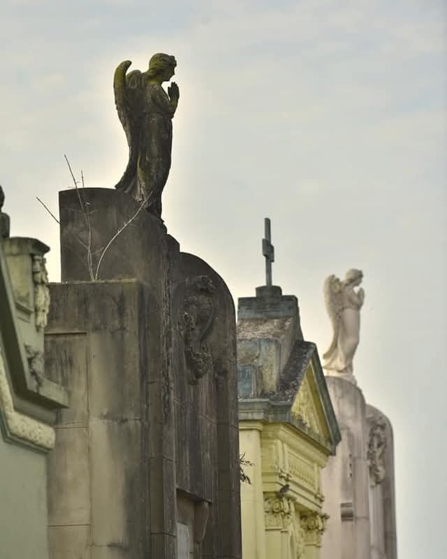 WhatsApp Image 2026-02-13 at 11.56.28