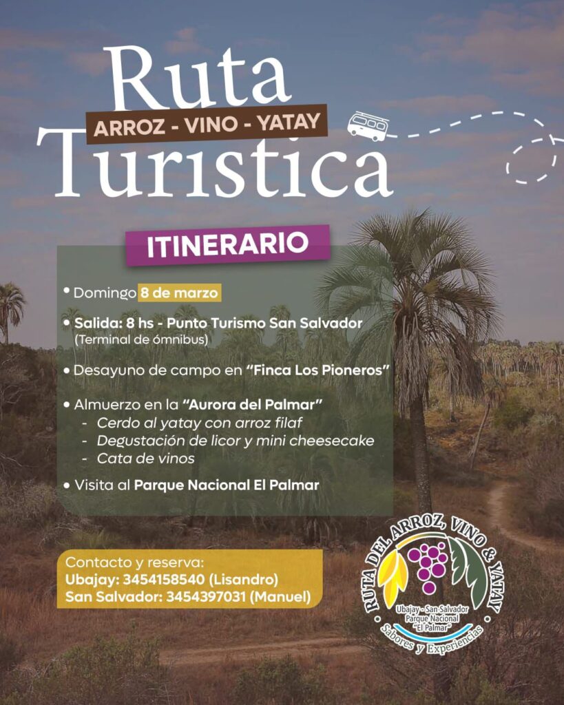 WhatsApp Image 2026-02-23 at 11.56.00