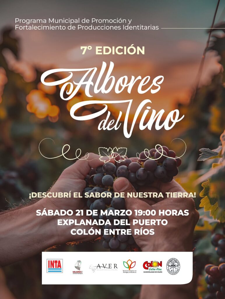 WhatsApp Image 2026-02-27 at 10.40.49