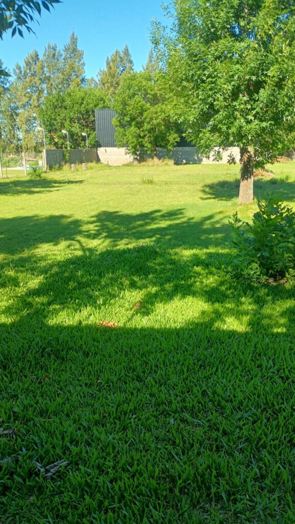 WhatsApp Image 2026-03-05 at 17.37.24 (2)