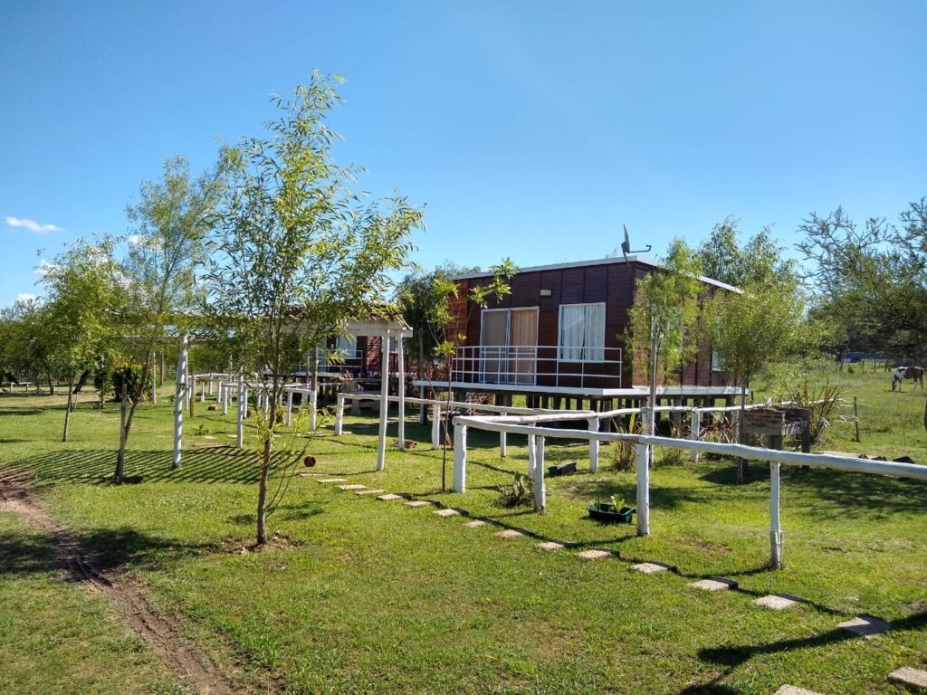 488878651_9878008842262247_6570211564276301496_n