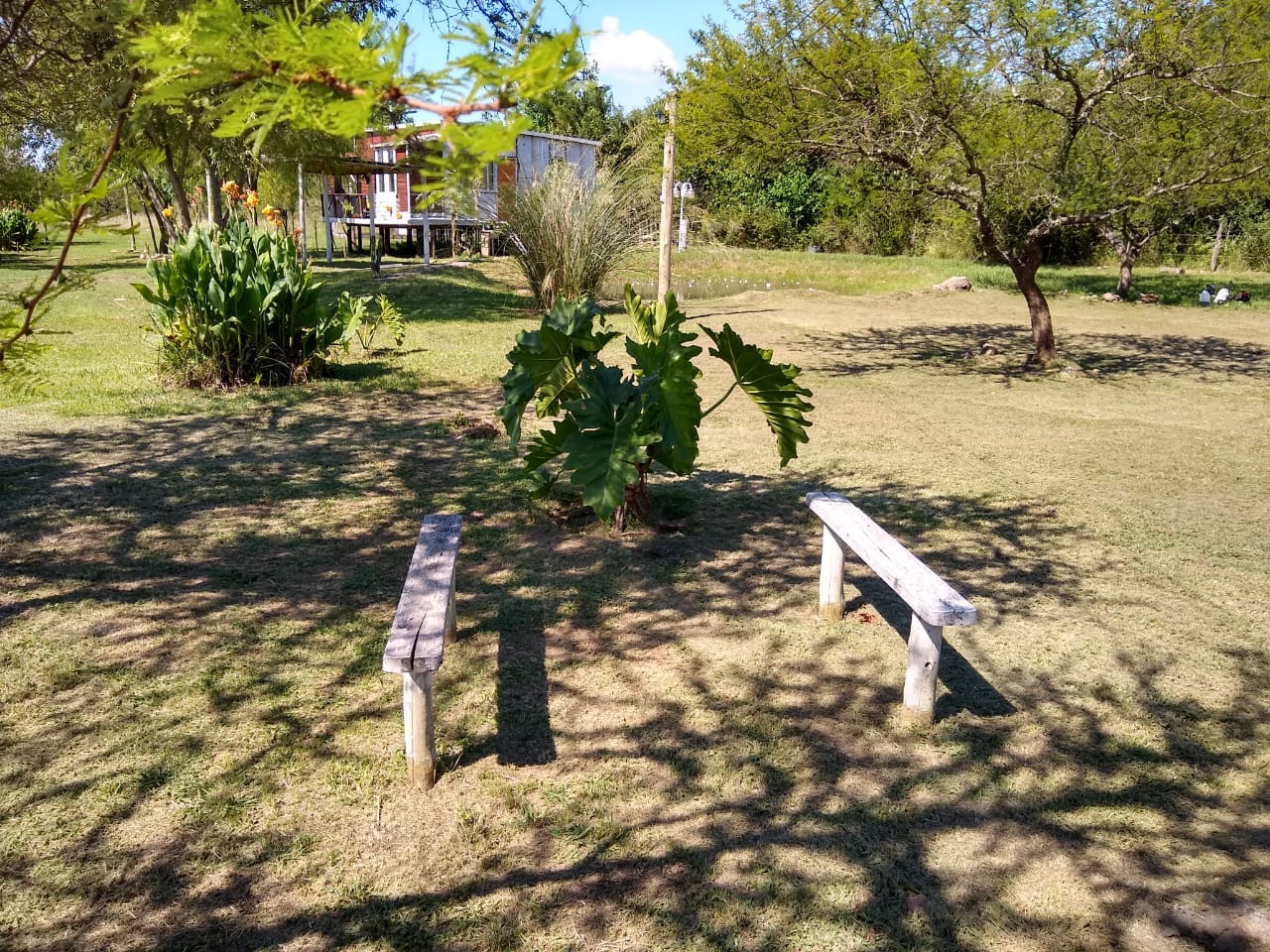 489961437_9878008798928918_2918654000379554548_n