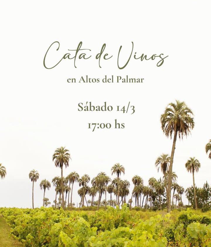 WhatsApp Image 2026-03-10 at 13.44.08 (1)