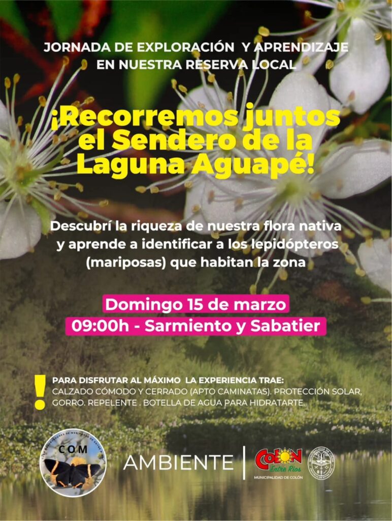 WhatsApp Image 2026-03-12 at 09.28.49