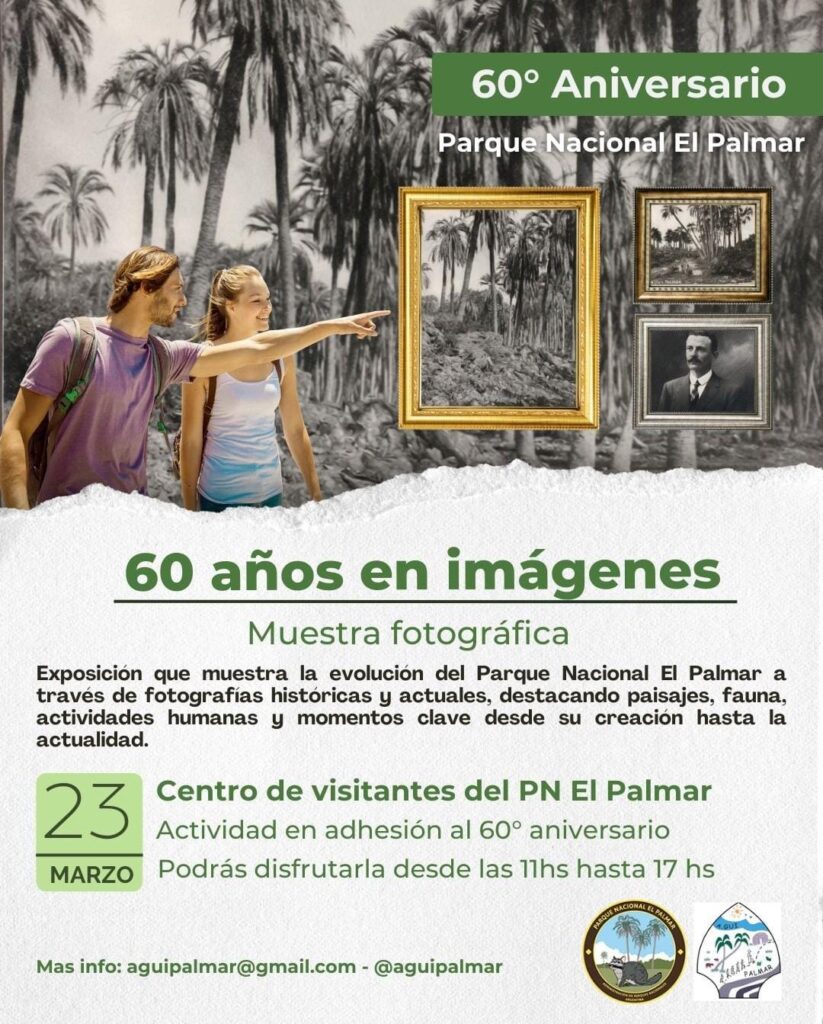 WhatsApp Image 2026-03-16 at 20.48.52