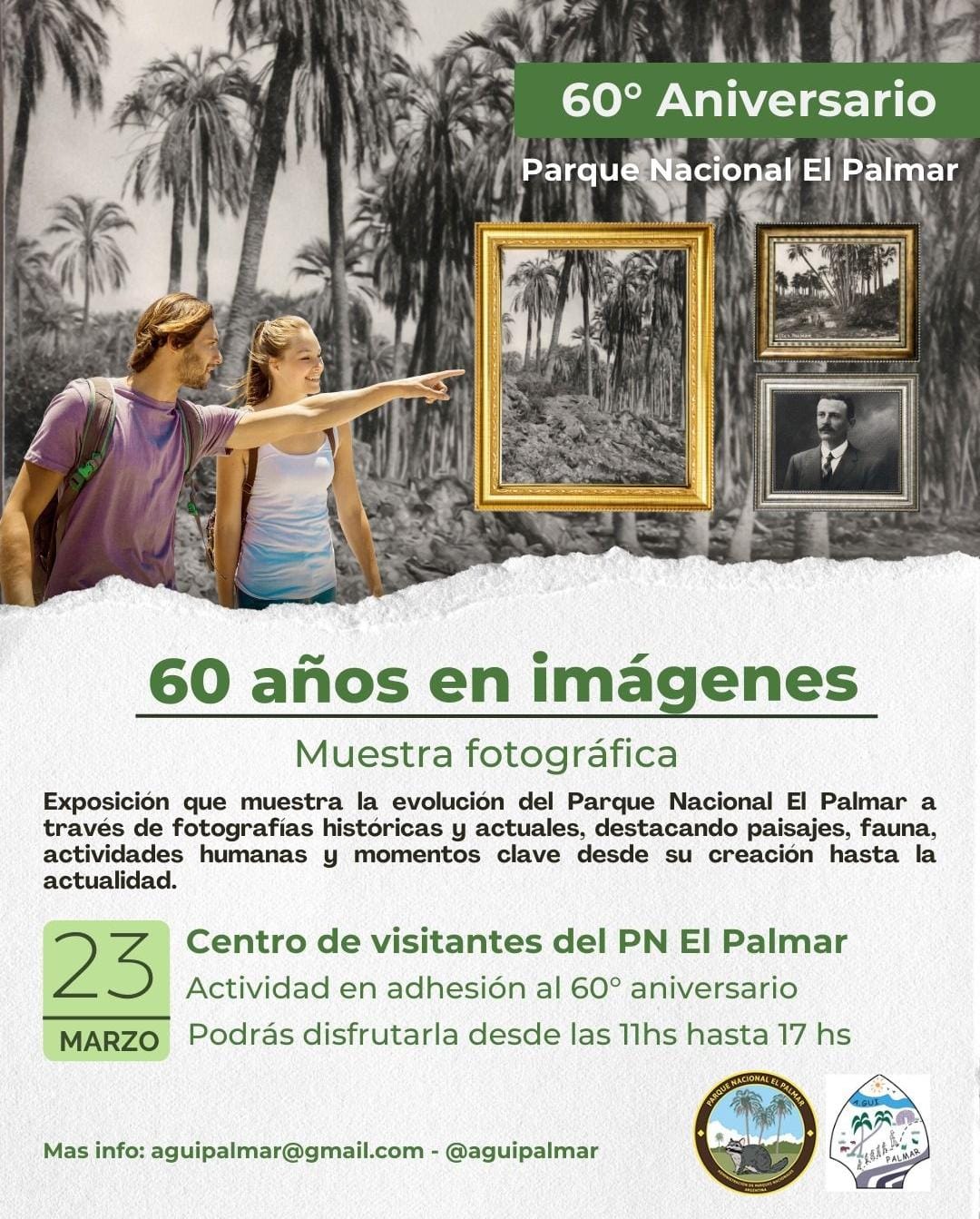 WhatsApp Image 2026-03-16 at 20.48.52