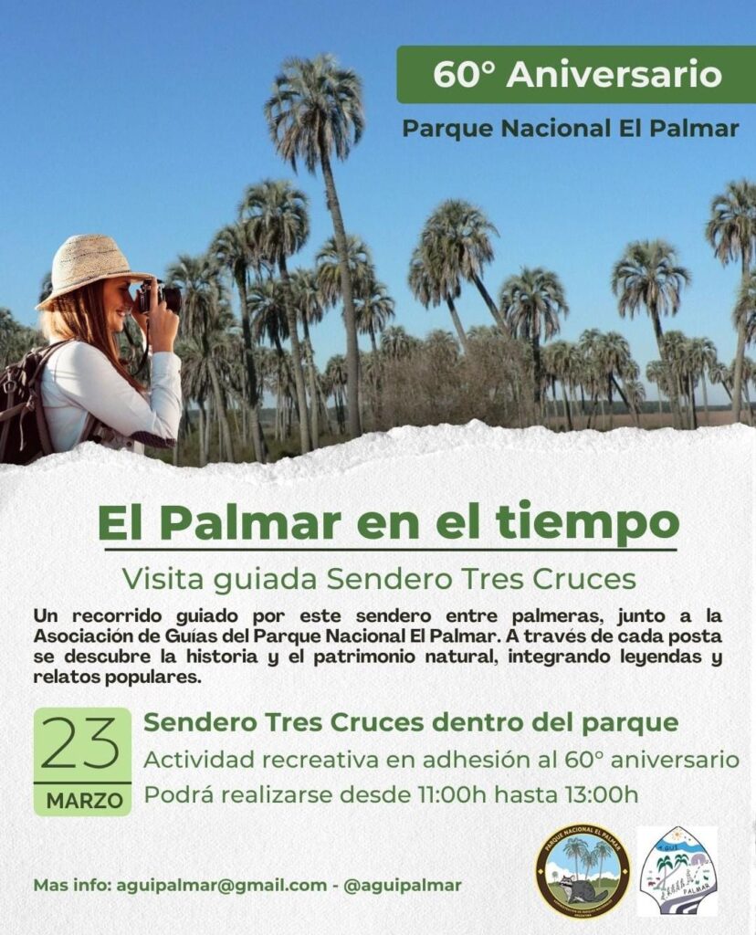 WhatsApp Image 2026-03-16 at 20.48.53