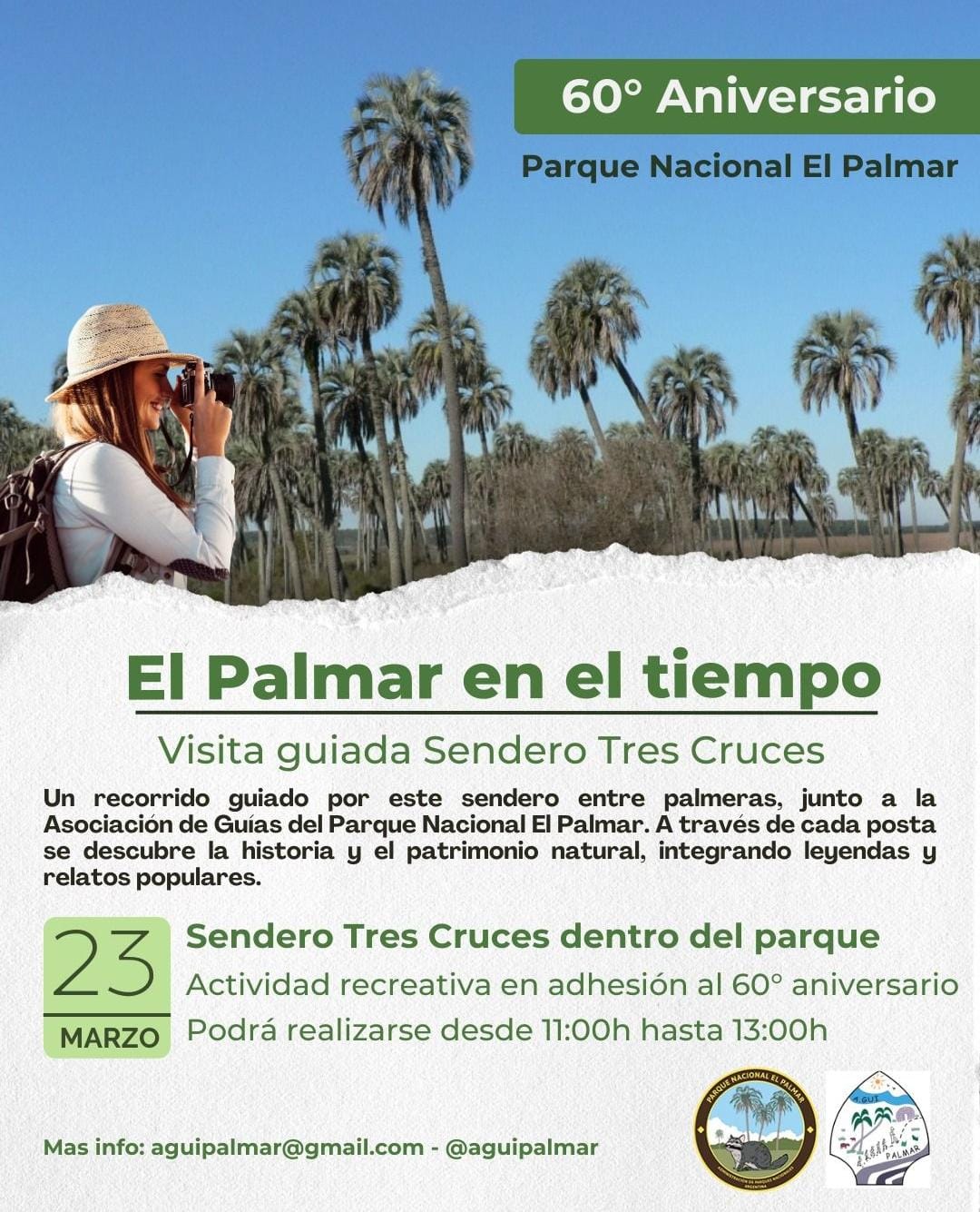 WhatsApp Image 2026-03-16 at 20.48.53