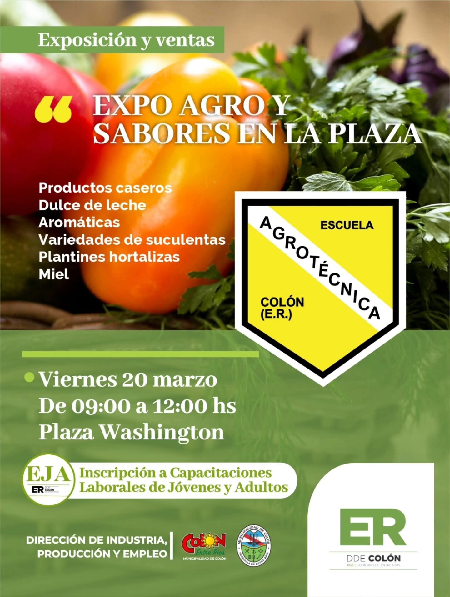 WhatsApp Image 2026-03-20 at 09.01.33