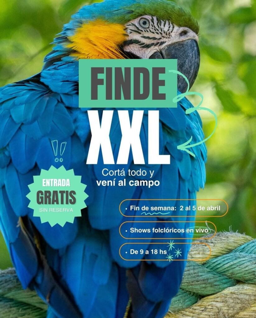 WhatsApp Image 2026-03-28 at 13.13.26