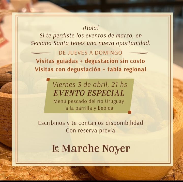 WhatsApp Image 2026-03-28 at 18.04.53