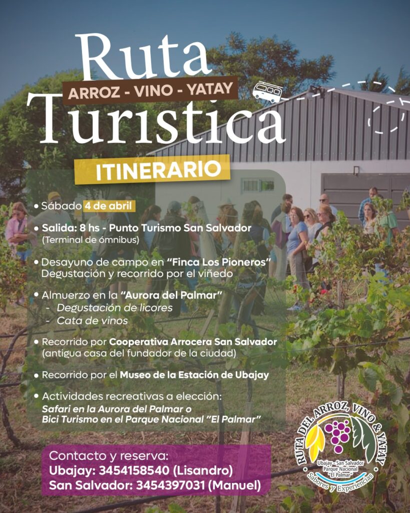 WhatsApp Image 2026-03-30 at 08.45.24 (2)