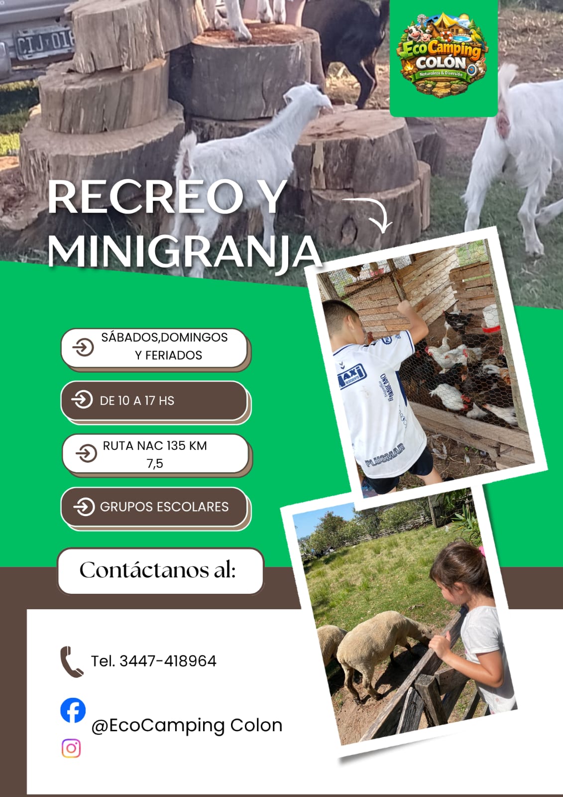 WhatsApp Image 2026-03-30 at 11.34.16 (1)