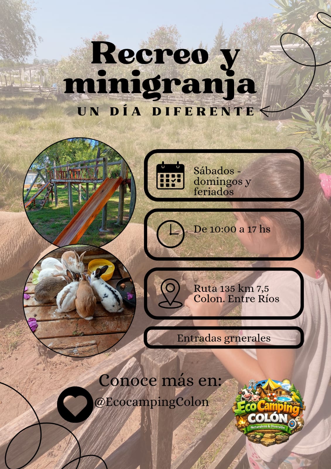 WhatsApp Image 2026-03-30 at 11.34.16