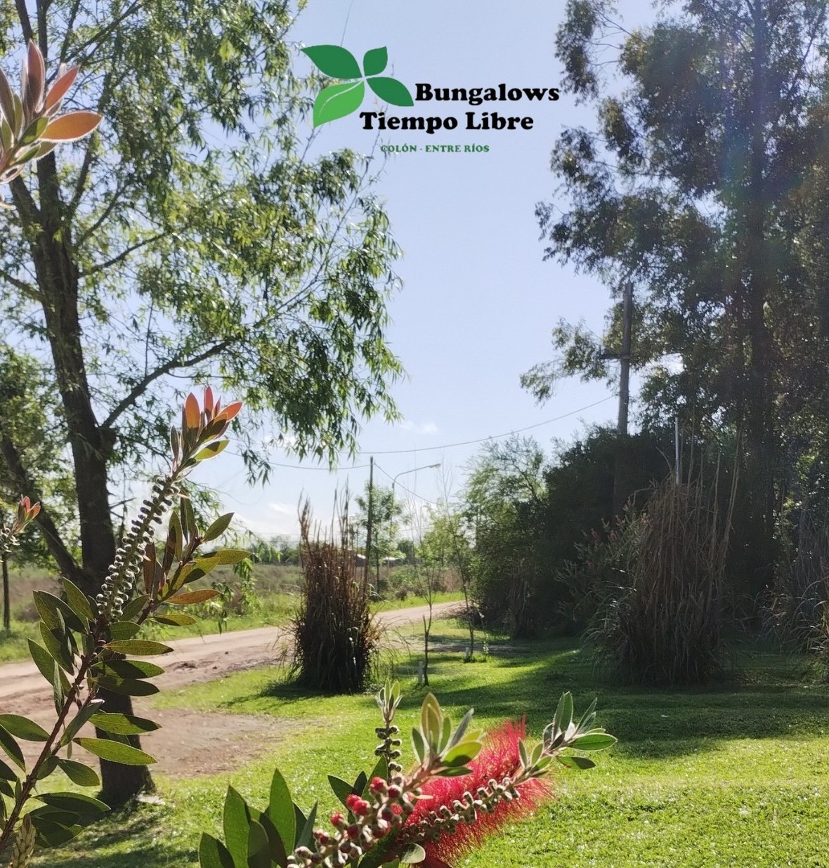 20241105_100302_00004