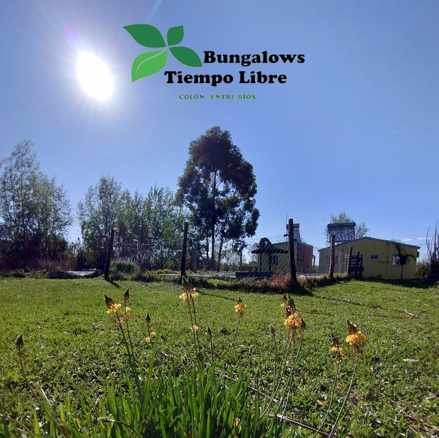 Diseno-sin-titulo_20241002_173713_00004