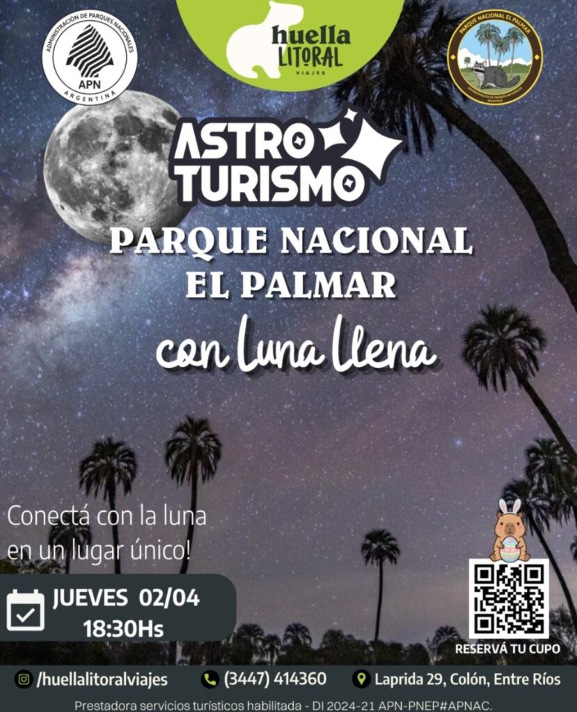 WhatsApp-Image-2026-03-31-at-10.31.35