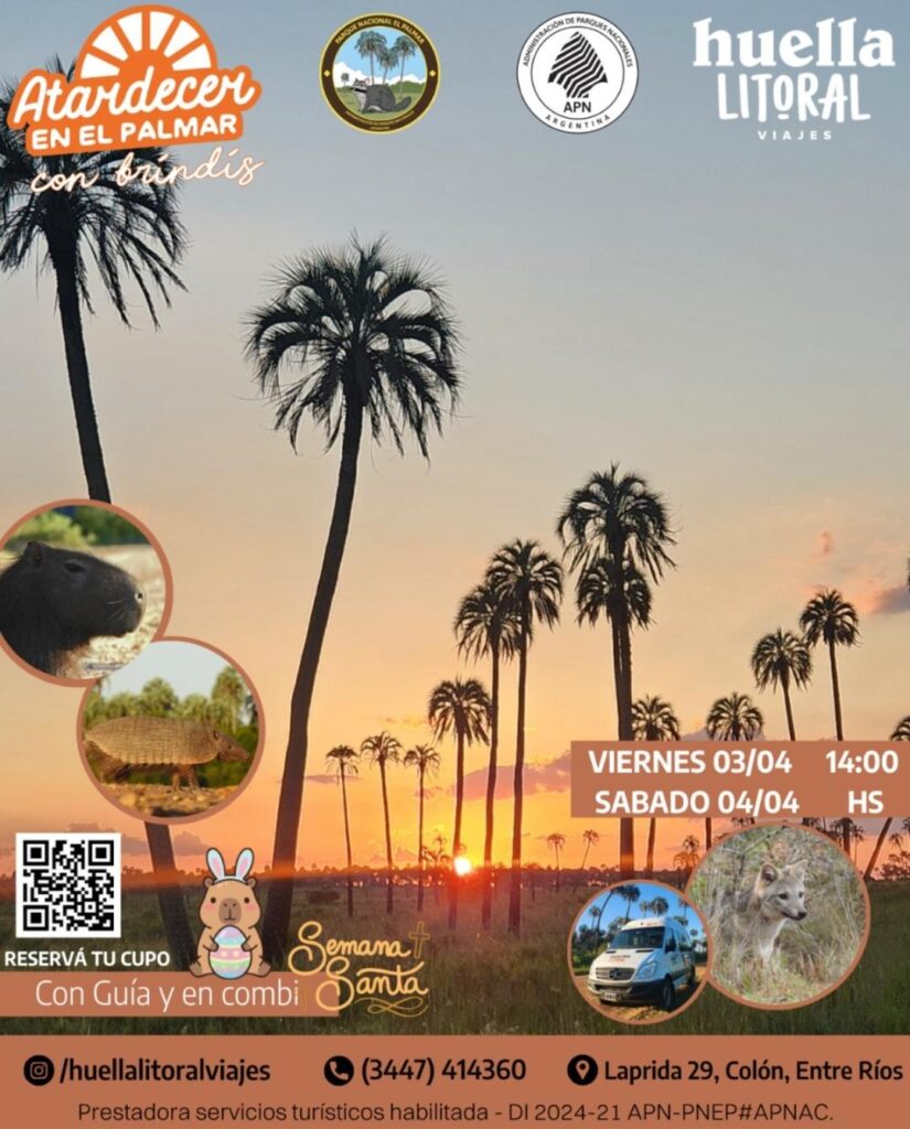 WhatsApp-Image-2026-03-31-at-10.32.01