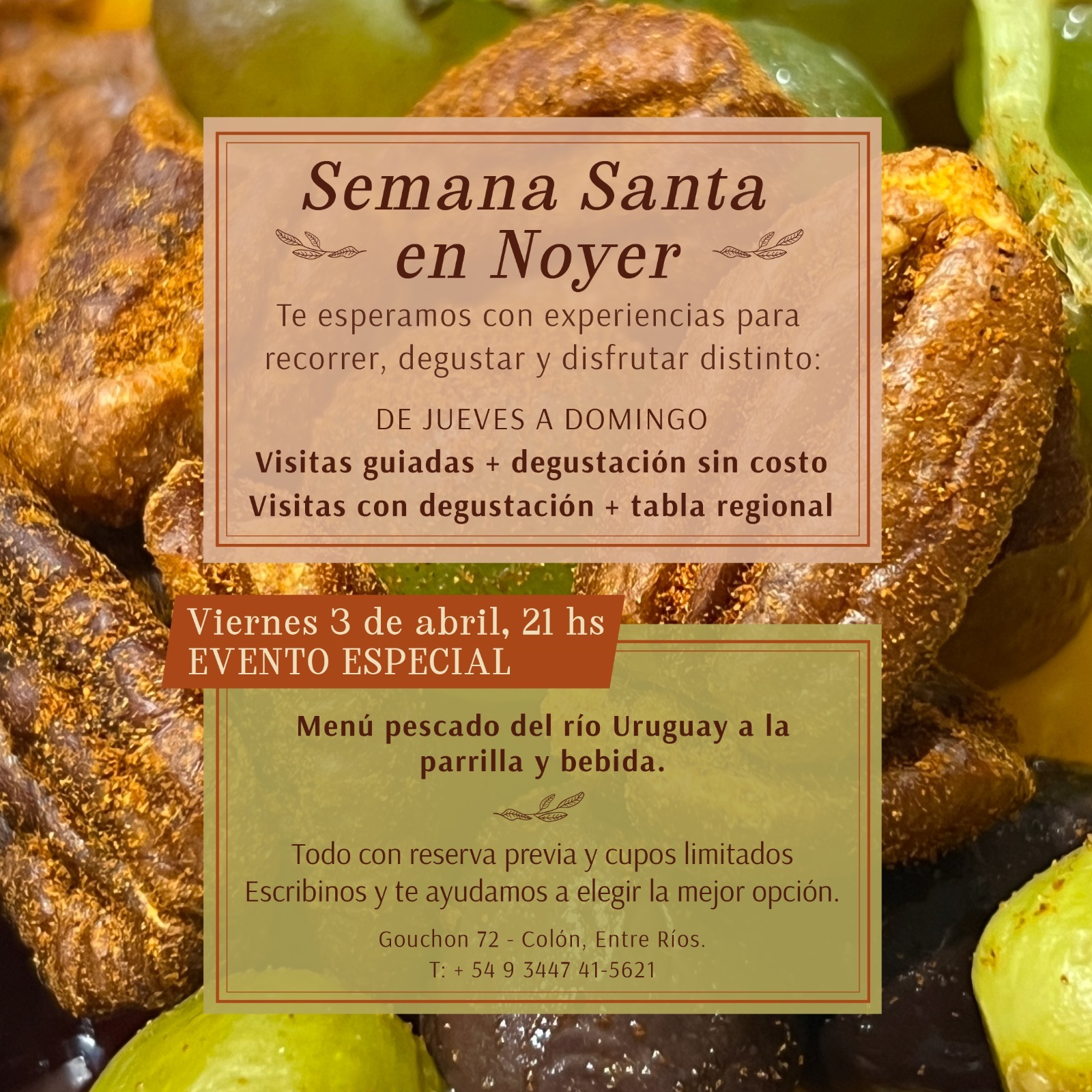 WhatsApp-Image-2026-04-01-at-08.40.39