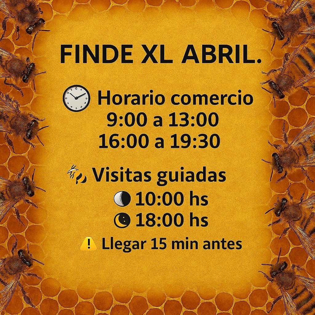 WhatsApp-Image-2026-04-01-at-10.14.49-1