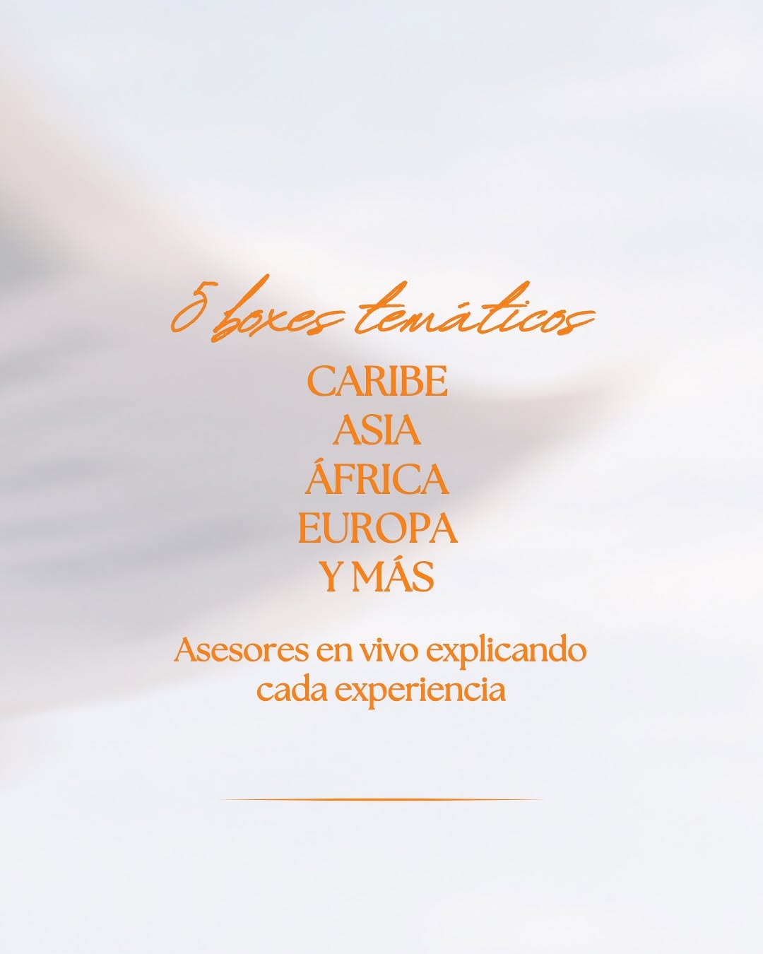 WhatsApp Image 2026-04-06 at 12.35.24 (1)