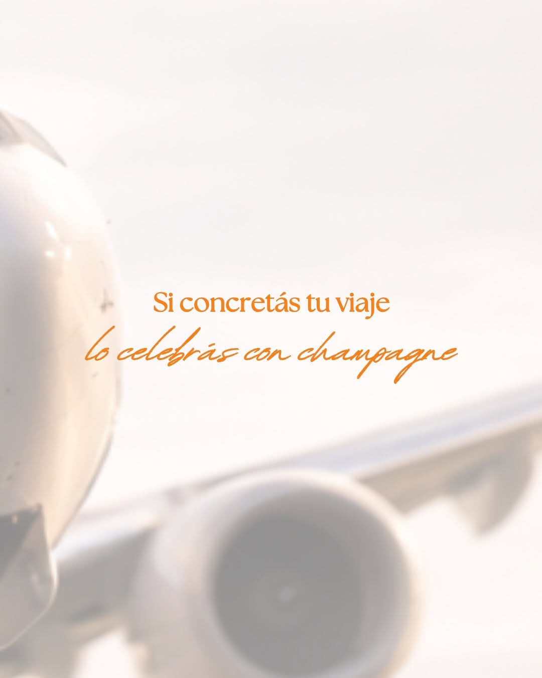 WhatsApp Image 2026-04-06 at 12.35.25 (1)