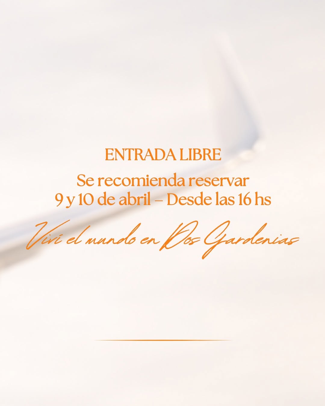 WhatsApp Image 2026-04-06 at 12.35.25 (2)